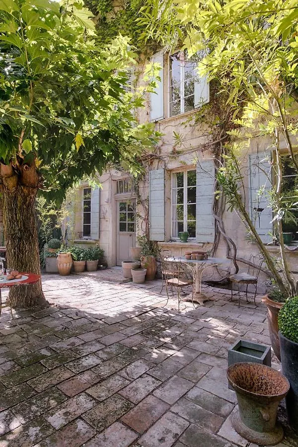 Maison Xixe Et Jardin En Intramuros Avignon France
